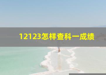 12123怎样查科一成绩