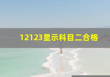 12123显示科目二合格