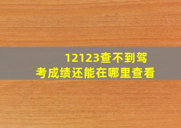 12123查不到驾考成绩还能在哪里查看