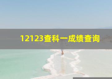 12123查科一成绩查询