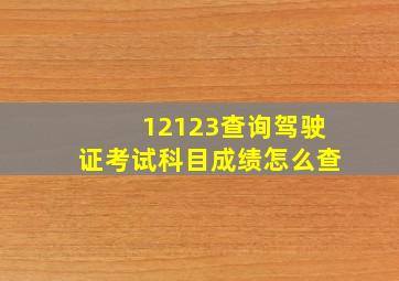 12123查询驾驶证考试科目成绩怎么查