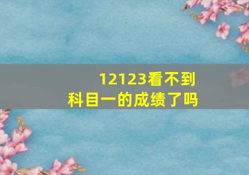 12123看不到科目一的成绩了吗