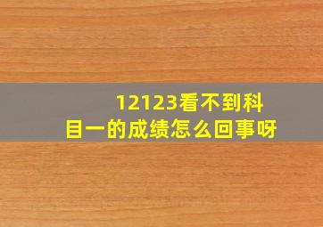 12123看不到科目一的成绩怎么回事呀