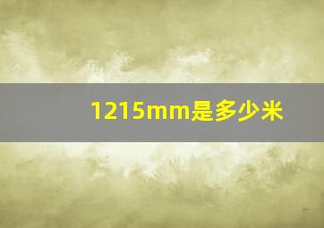 1215mm是多少米