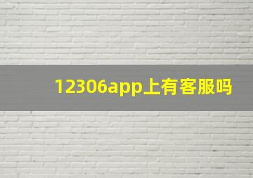 12306app上有客服吗