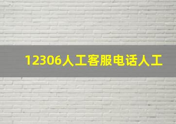 12306人工客服电话人工