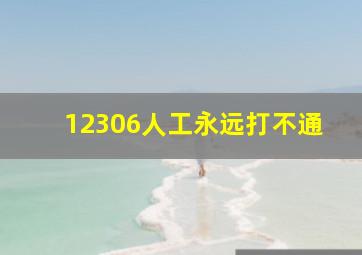 12306人工永远打不通