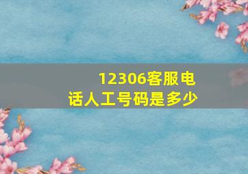 12306客服电话人工号码是多少