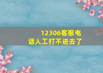 12306客服电话人工打不进去了