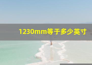 1230mm等于多少英寸