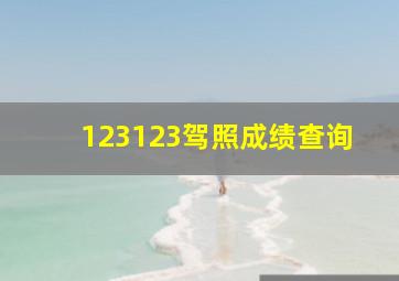 123123驾照成绩查询