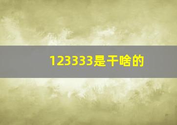 123333是干啥的