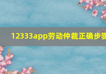 12333app劳动仲裁正确步骤