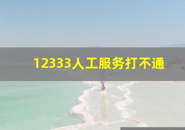 12333人工服务打不通