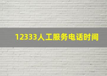 12333人工服务电话时间