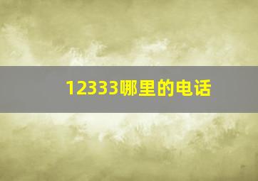 12333哪里的电话