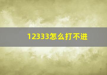 12333怎么打不进