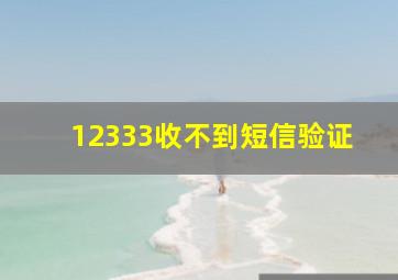 12333收不到短信验证