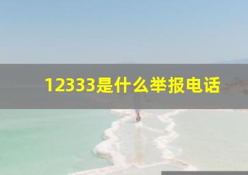 12333是什么举报电话