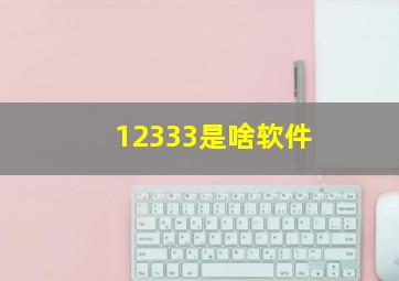 12333是啥软件