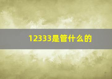 12333是管什么的