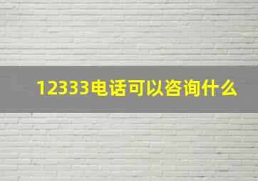 12333电话可以咨询什么