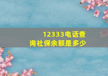 12333电话查询社保余额是多少