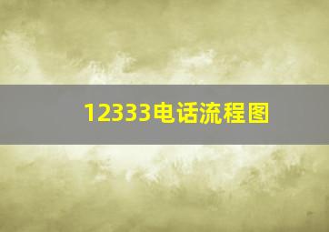 12333电话流程图