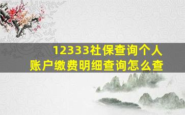 12333社保查询个人账户缴费明细查询怎么查