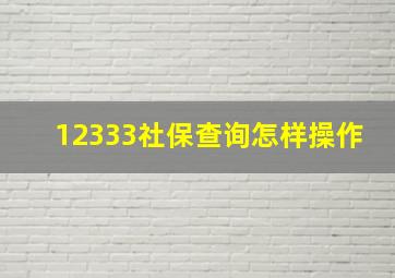 12333社保查询怎样操作