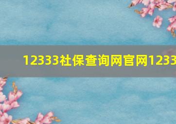 12333社保查询网官网1233