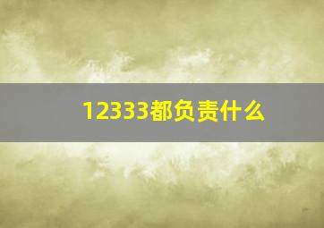 12333都负责什么