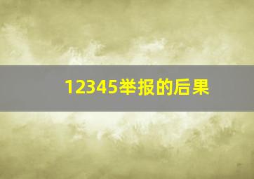 12345举报的后果