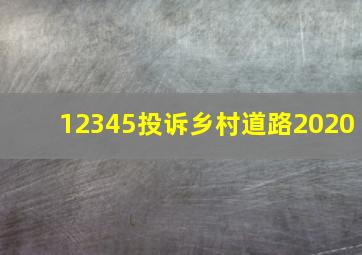 12345投诉乡村道路2020