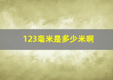 123毫米是多少米啊