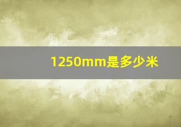 1250mm是多少米