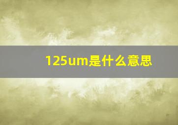 125um是什么意思