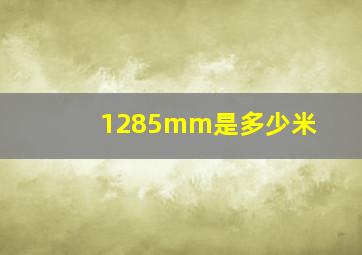 1285mm是多少米