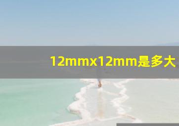 12mmx12mm是多大