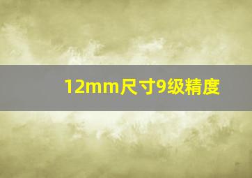 12mm尺寸9级精度