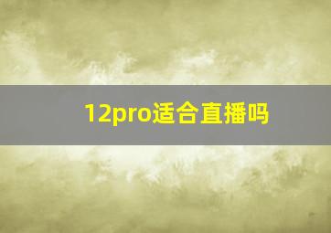 12pro适合直播吗