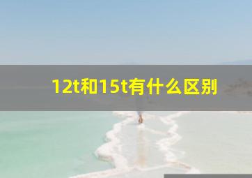 12t和15t有什么区别