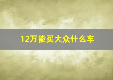 12万能买大众什么车