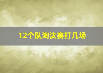 12个队淘汰赛打几场