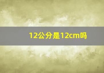 12公分是12cm吗