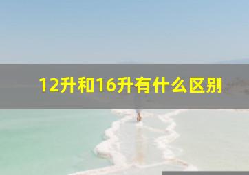 12升和16升有什么区别