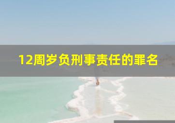 12周岁负刑事责任的罪名