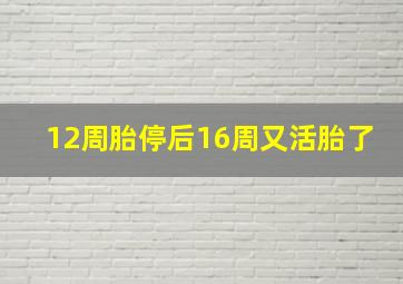 12周胎停后16周又活胎了