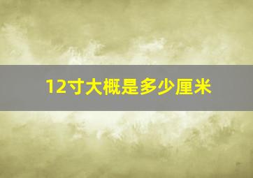 12寸大概是多少厘米