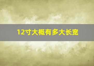 12寸大概有多大长宽